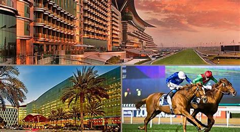 bbc racing results meydan